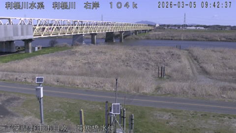 tonme2026030510_image