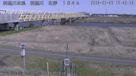 tonme2026030511_image