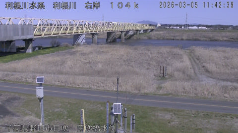 tonme2026030512_image