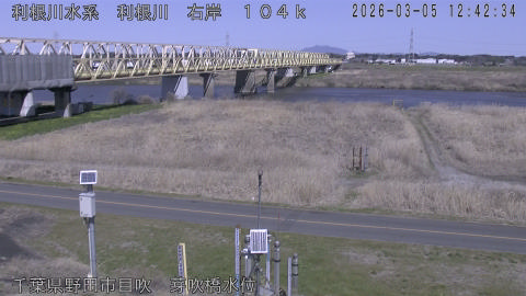 tonme2026030513_image