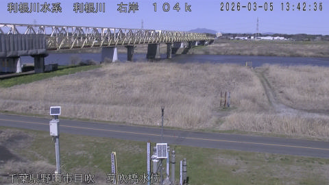 tonme2026030514_image