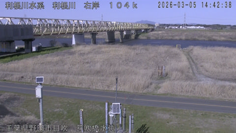 tonme2026030515_image