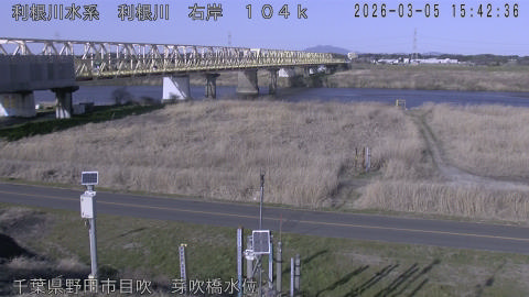 tonme2026030516_image