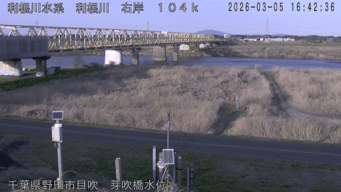 tonme2026030517_image