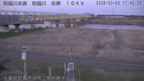 tonme2026030518_image