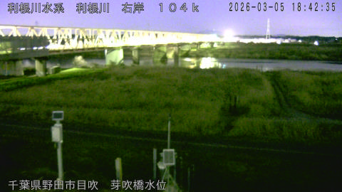 tonme2026030519_image