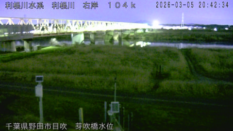 tonme2026030521_image