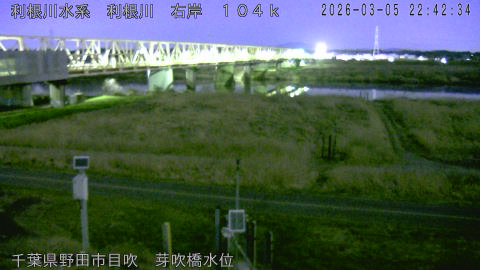 tonme2026030523_image