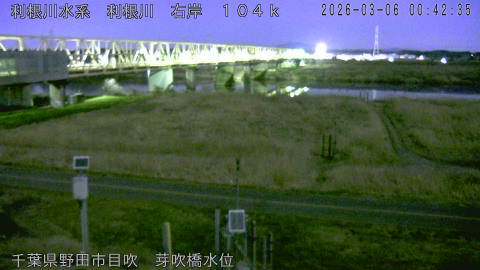 tonme2026030601_image