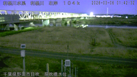 tonme2026030602_image