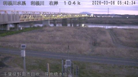 tonme2026030606_image