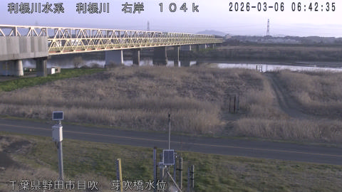 tonme2026030607_image