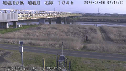 tonme2026030608_image