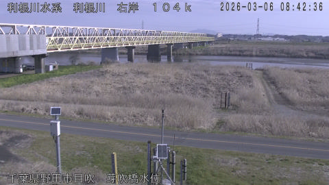 tonme2026030609_image