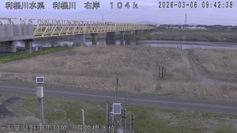 tonme2026030610_image