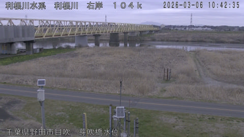 tonme2026030611_image