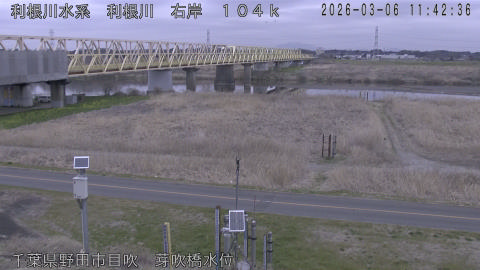 tonme2026030612_image