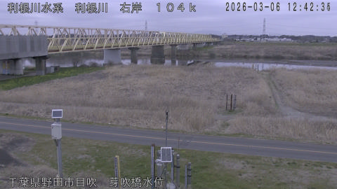 tonme2026030613_image