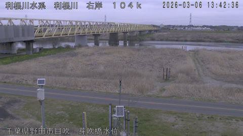 tonme2026030614_image