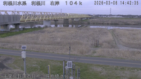 tonme2026030615_image