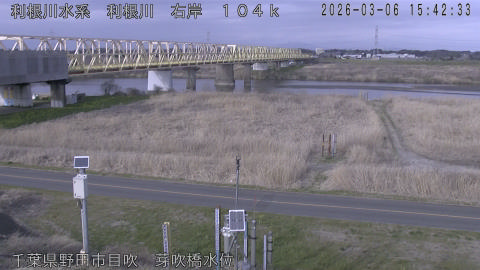 tonme2026030616_image