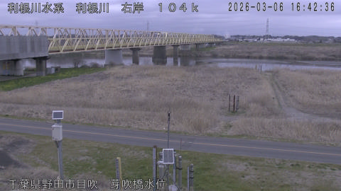 tonme2026030617_image