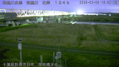 tonme2026030620_image