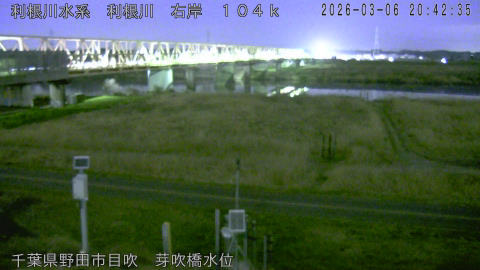 tonme2026030621_image