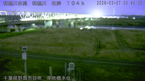 tonme2026030701_image