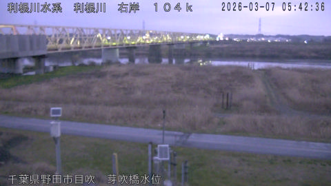 tonme2026030706_image