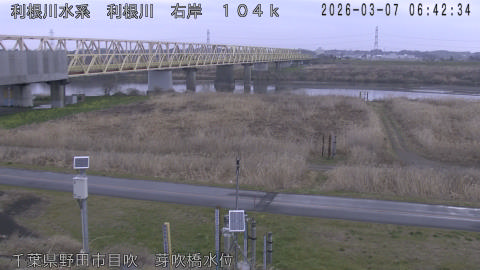 tonme2026030707_image