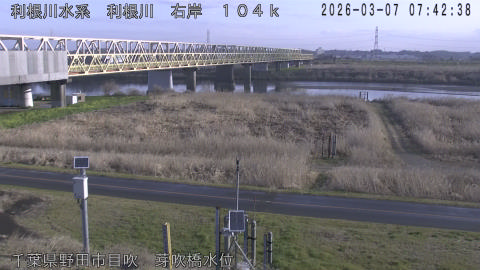 tonme2026030708_image