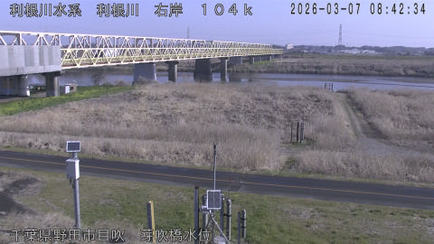 tonme2026030709_image