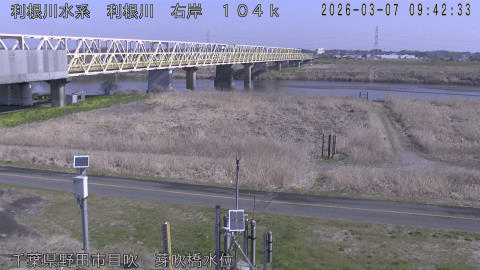 tonme2026030710_image