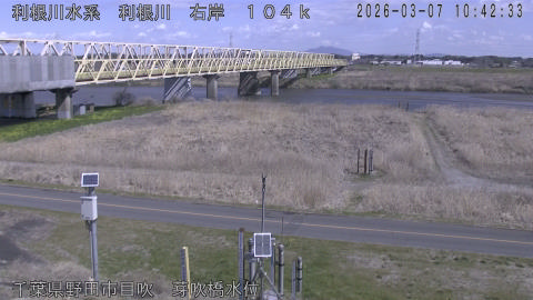 tonme2026030711_image