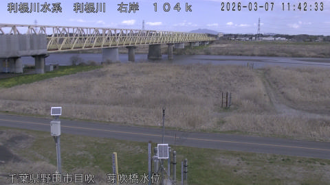 tonme2026030712_image