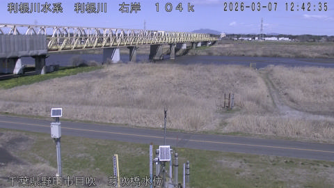 tonme2026030713_image