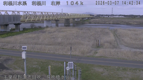 tonme2026030715_image