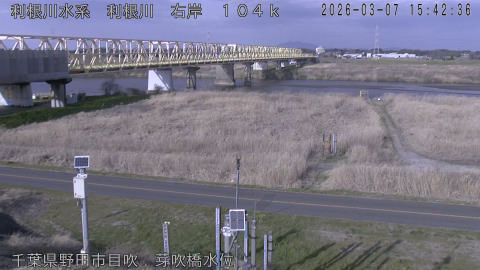 tonme2026030716_image