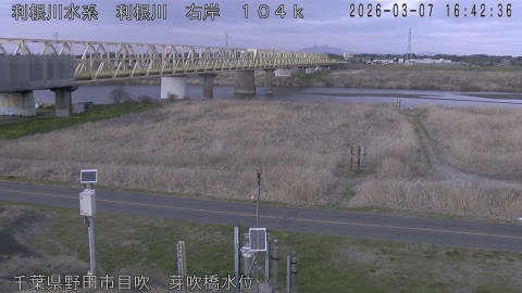 tonme2026030717_image