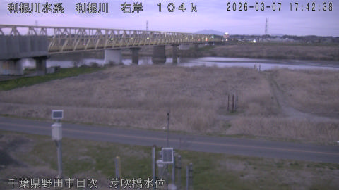 tonme2026030718_image