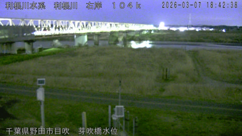 tonme2026030719_image