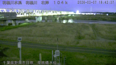 tonme2026030720_image