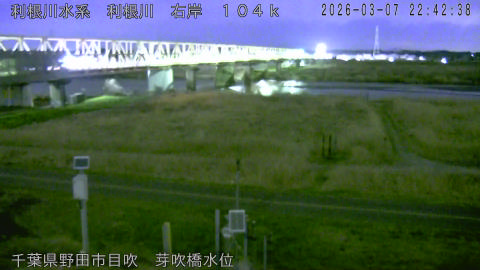 tonme2026030723_image