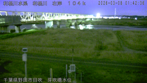 tonme2026030802_image