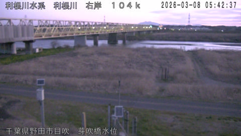 tonme2026030806_image