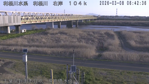 tonme2026030807_image