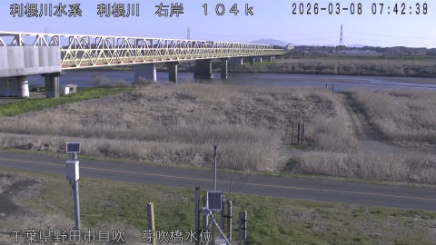 tonme2026030808_image