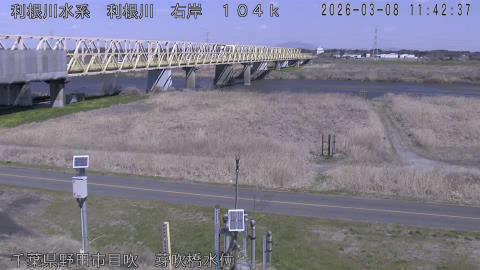 tonme2026030812_image