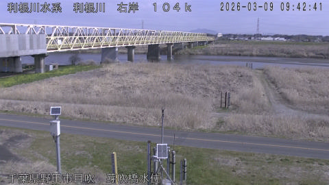 tonme2026030910_image